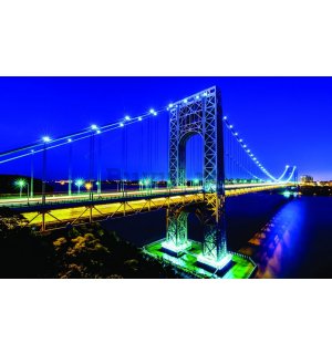 Fototapet: Manhattan Bridge - 184x254 cm