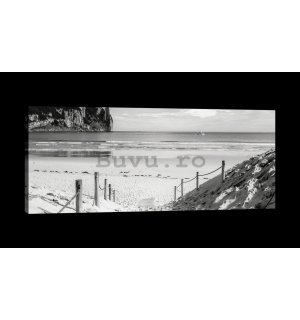 Tablou canvas: Plajă nisipoasă (alb-negru) - 145x45 cm