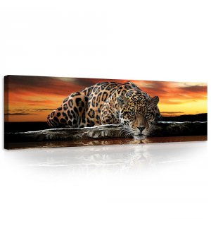 Tablou canvas: Jaguar - 145x45 cm