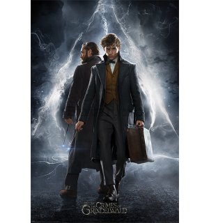 Poster - Animale Fantastice Crimele lui Grindelwald (Newt & Dumbledore)
