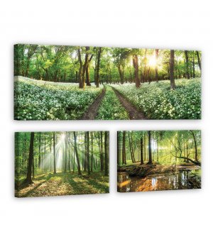 Tablou canvas: Călătorie prin pădure - set 1 buc 80x30 cm și 2 buc 37,5x24,8 cm