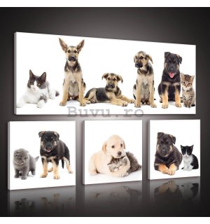 Tablou canvas: Câini (1) - set 1 buc 80x30 cm și 3 buc 25,8x24,8 cm