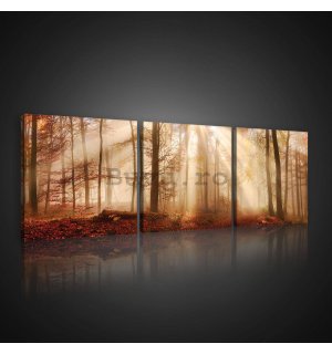 Tablou canvas: Revărsatul de zori în pădure - set 3 buc 25x25cm