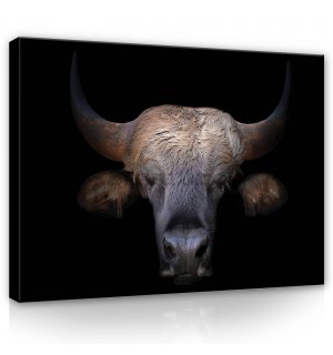 Tablou canvas: Bull (1) - 80x60 cm