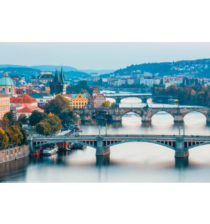 Poster: Podurile din Praga