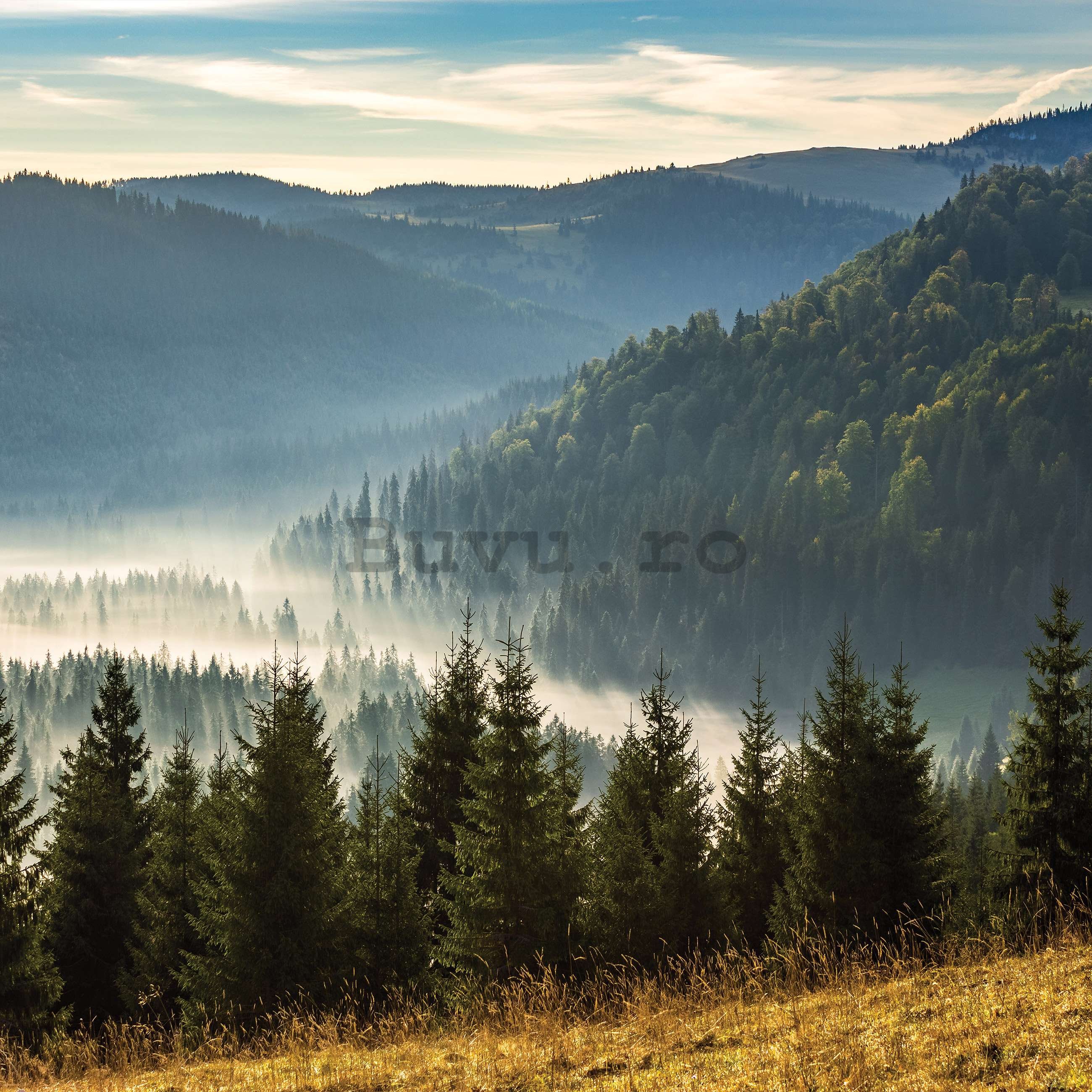 Fototapet vlies: Pădure natură peisaj montan - 152,5x104 cm