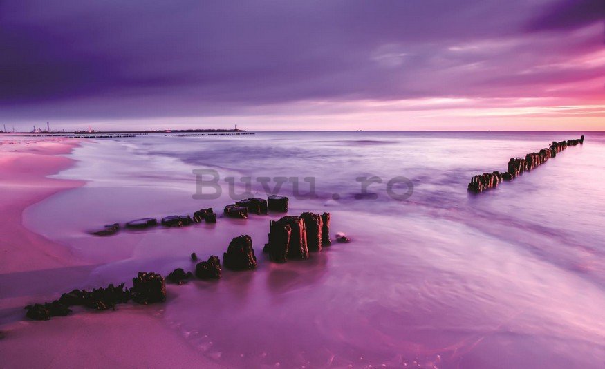 Fototapet: Apus de soare violet pe plajă - 254x368 cm