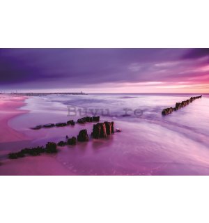 Fototapet: Apus de soare violet pe plajă - 254x368 cm
