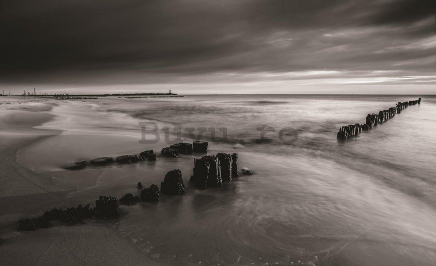 Fototapet: Coastă alb-negru - 254x368 cm