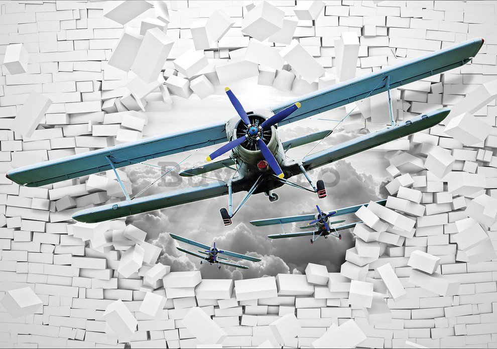 Fototapet: Avion biplan în perete - 184x254 cm