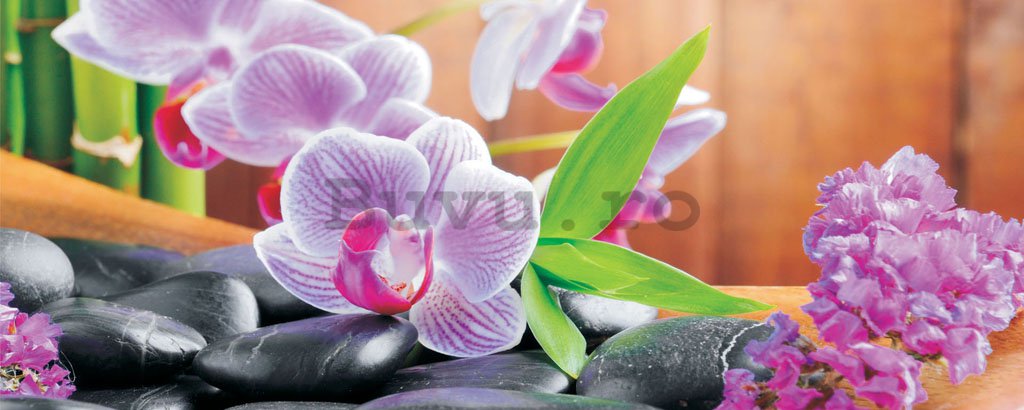 Fototapet: Orhideea (1) - 104x250 cm