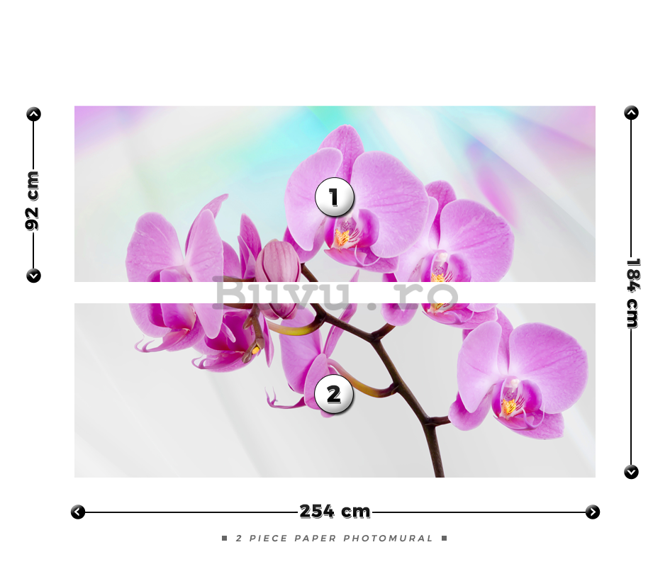 Fototapet: Orhideea Violet - 184x254 cm