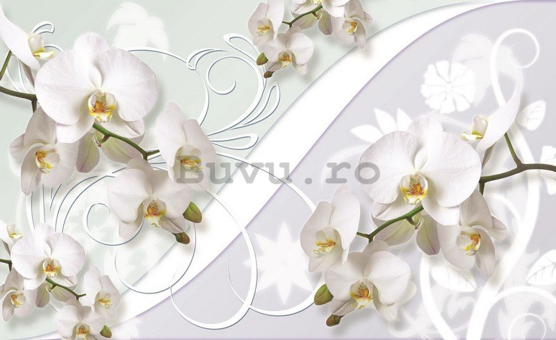 Fototapet: Orhideea albă (model) - 254x368 cm