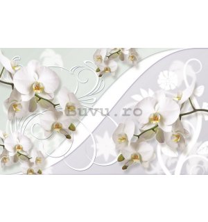 Fototapet: Orhideea albă (model) - 254x368 cm