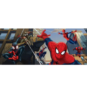 Fototapet: Spiderman (2) - 104x250 cm