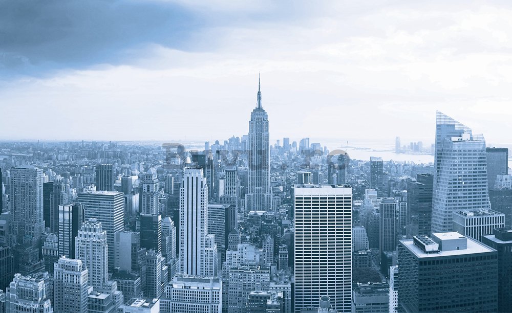 Fototapet: Perspectivă Manhattan - 184x254 cm