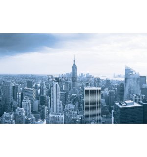 Fototapet: Perspectivă Manhattan - 254x368 cm