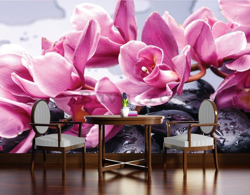 Fototapet: Pietre balneare și orhideea roz - 184x254 cm