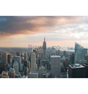 Fototapet: Manhattan - 184x254 cm