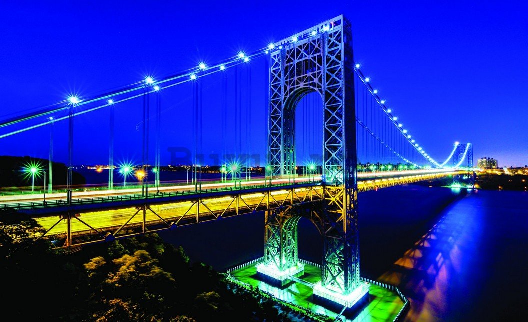 Fototapet: Manhattan Bridge - 254x368 cm