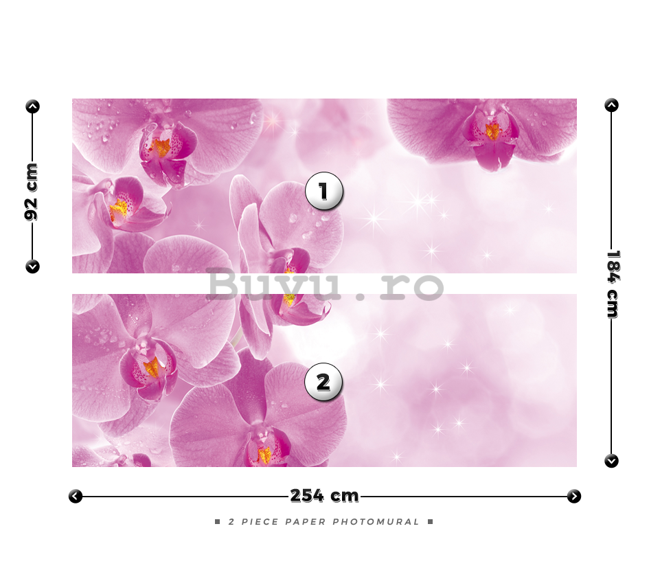 Fototapet: Orhidee (1) - 184x254 cm