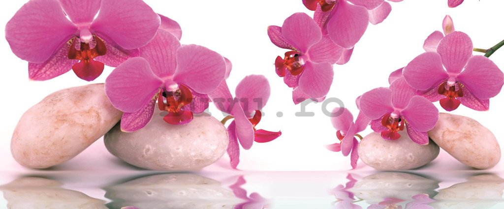 Fototapet: Orhideea și pietre albe - 104x250 cm