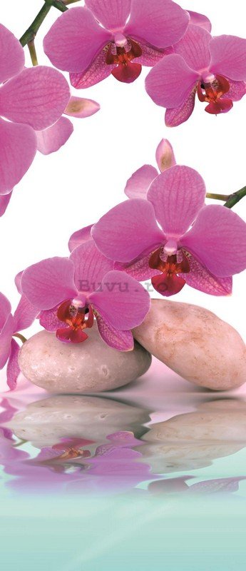 Fototapet: Orhideea și pietre albe - 211x91 cm