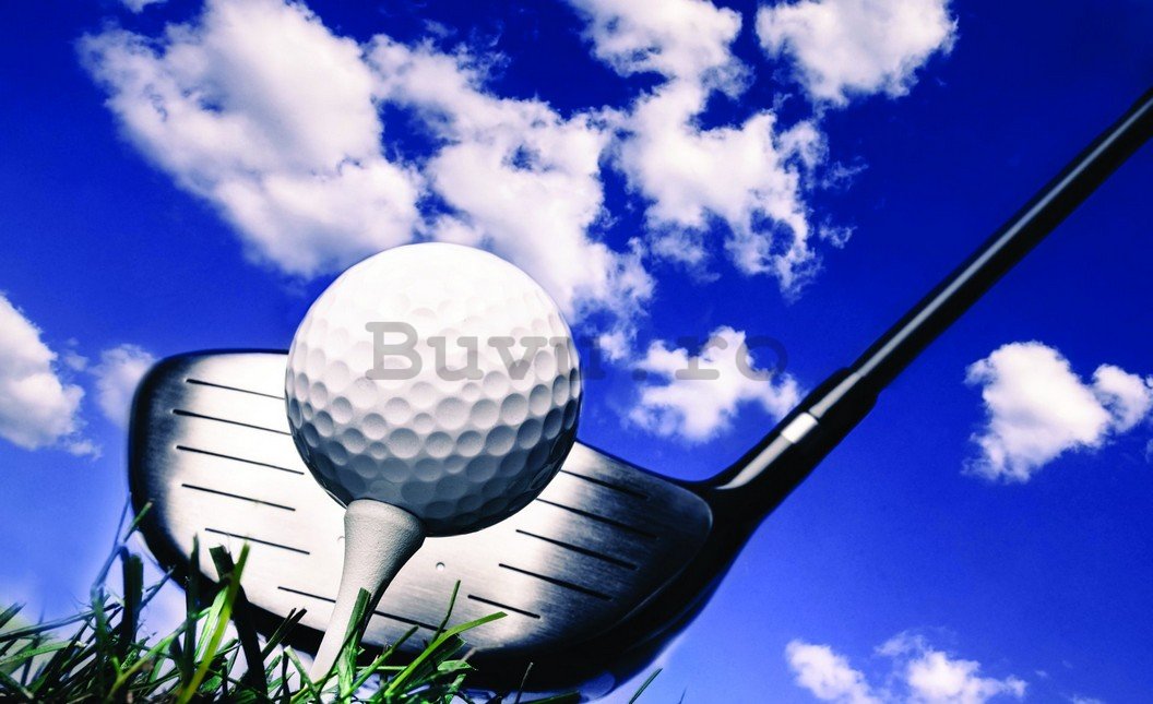 Fototapet: Golf (2) - 254x368 cm