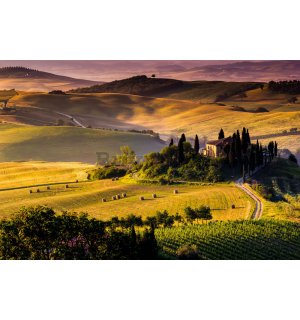 Fototapet: Toscana - 254x368 cm