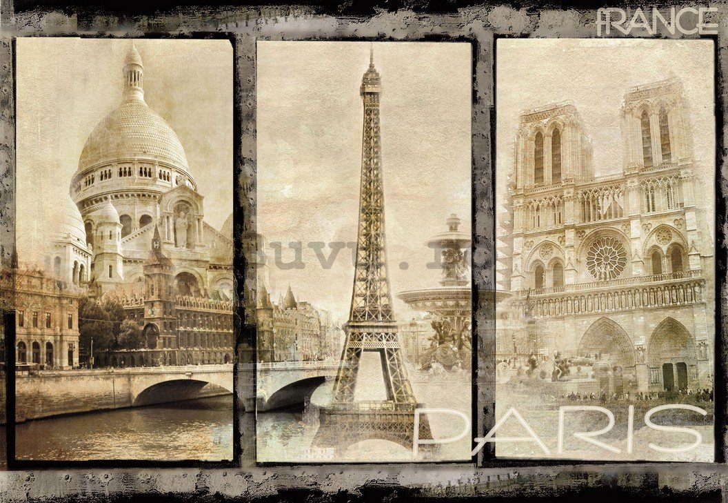 Fototapet: Paris (dominante) - 184x254 cm