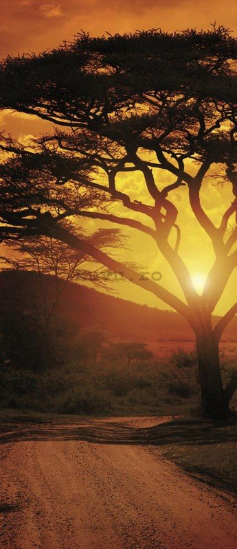 Fototapet: Apus de soare african - 211x91 cm