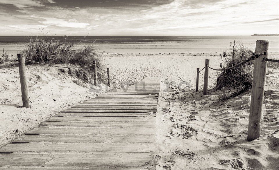 Fototapet: Plajă (alb-negru) - 254x368 cm