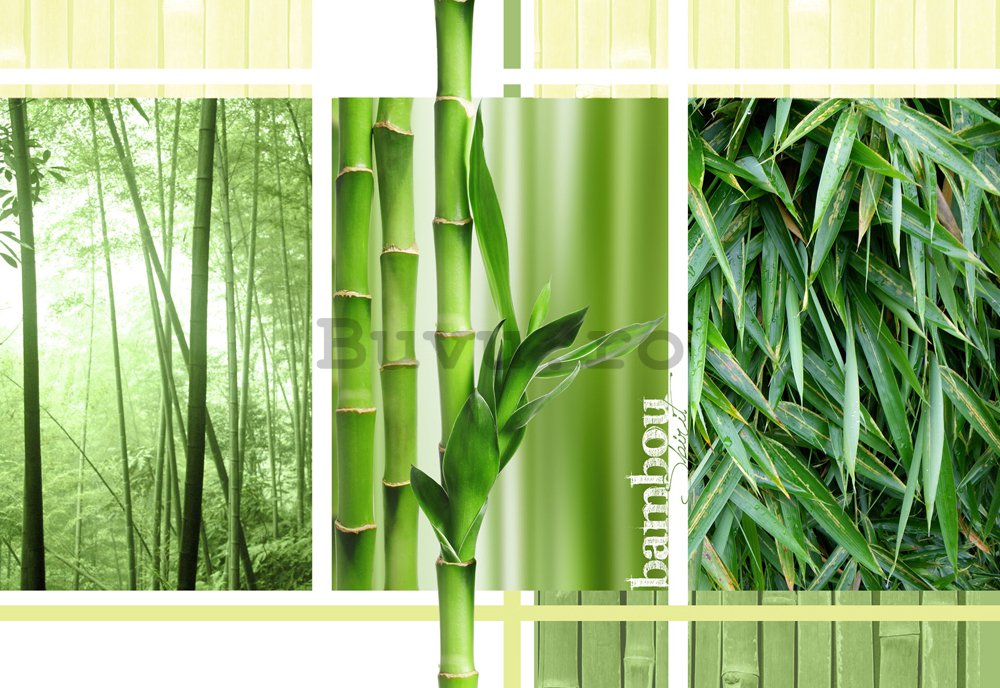 Fototapet: Bambus - 184x254 cm