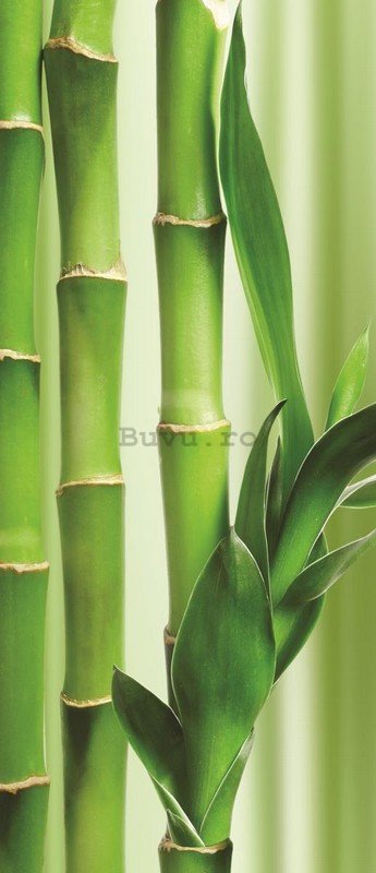 Fototapet: Bambus - 211x91 cm