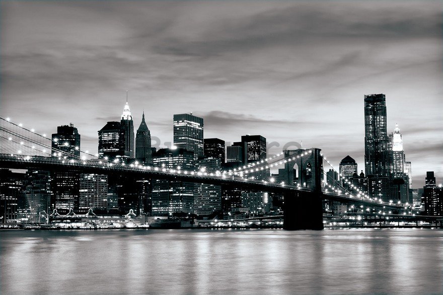 Fototapet: Brooklyn Bridge (alb-negru) - 254x368 cm