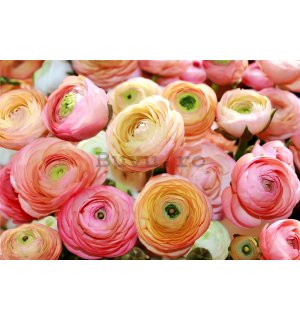 Fototapet: Trandafiri portocalii și roz - 184x254 cm