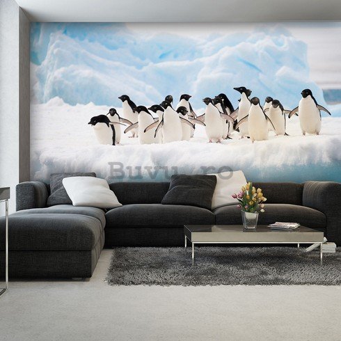 Fototapet: Pinguini - 184x254 cm