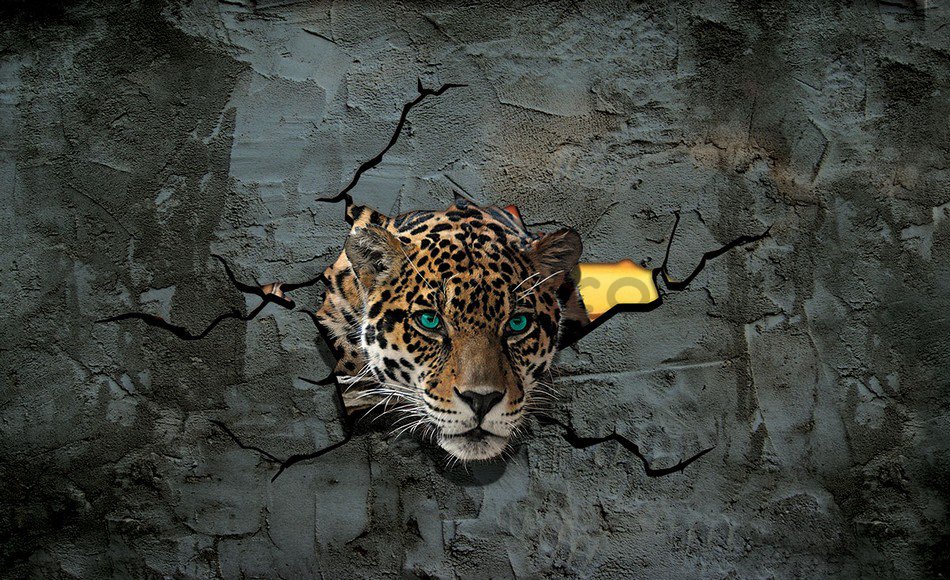 Fototapet: Gepard în zid - 184x254 cm