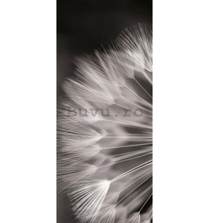 Fototapet: Păpădie alb-negru - 211x91 cm
