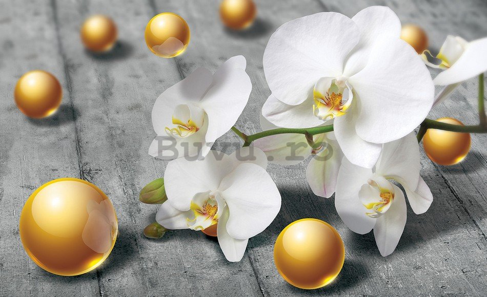 Fototapet: Orhideea și biluțe galbene - 254x368 cm