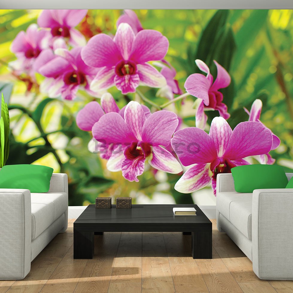 Fototapet: Orhideea (3) - 184x254 cm