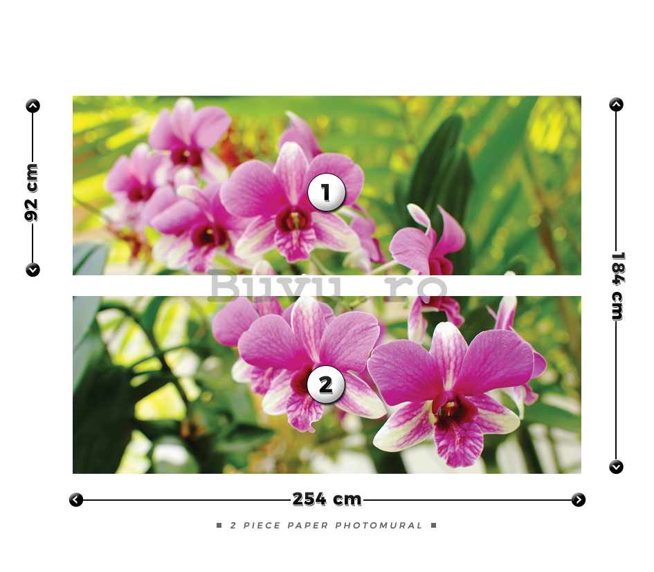 Fototapet: Orhideea (3) - 184x254 cm