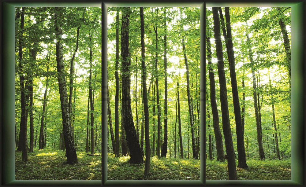 Fototapet: Pădure (Vedere de la fereastră) - 254x368 cm