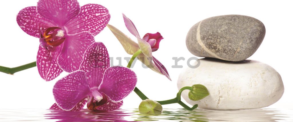 Fototapet: Orhideea cu pietre - 104x250 cm