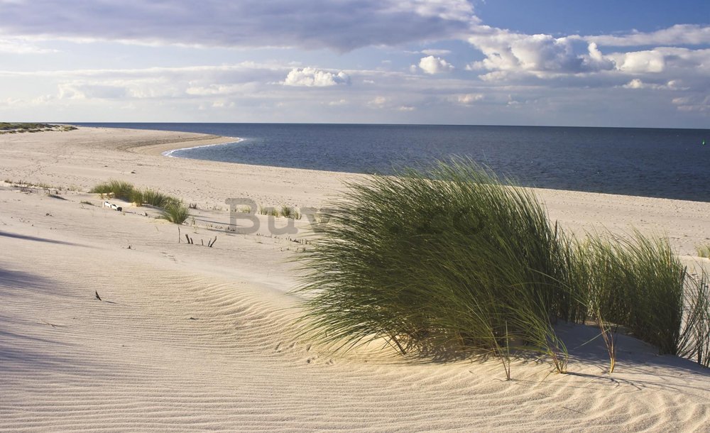 Fototapet: Plajă nisipoasă (1) - 184x254 cm