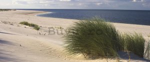 Fototapet: Plajă nisipoasă (1) - 104x250 cm