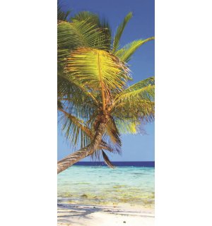 Fototapet: Plajă cu palmier - 211x91 cm