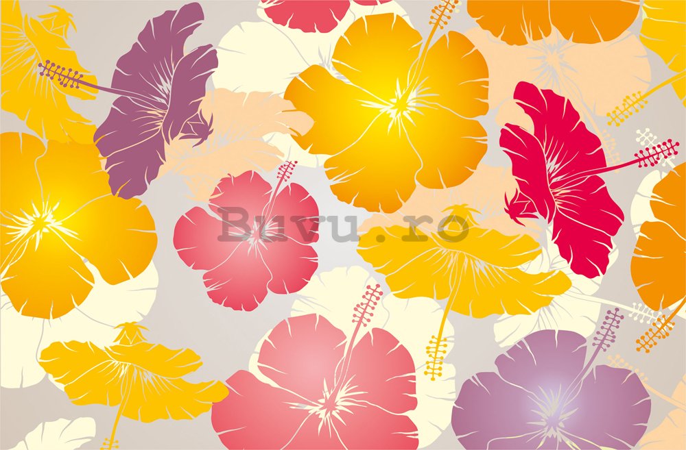 Fototapet: Flori de culori variate - 184x254 cm