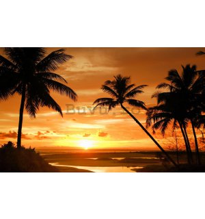 Fototapet: Apus de soare pe plajă (2) - 184x254 cm