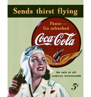 Placă metalică - Coca-Cola (send thirst flying)